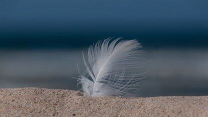 7.5 billion yuan! This year's largest financing in the field of autonomous driving came: Microsoft, Nvidia for its platform, the British AI unicorn was regarded by the Prime Minister as 