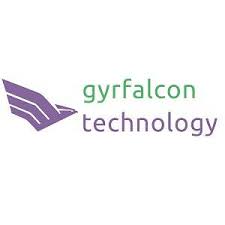 Gyrfalcon Technology