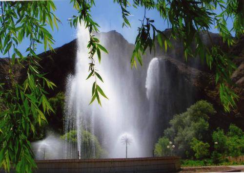 比特币全球趋势网