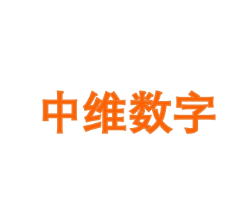 中维数字