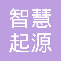 智慧起源机器人