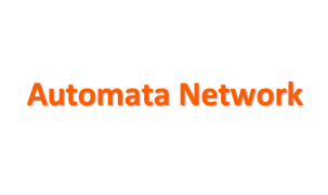 Automata Network