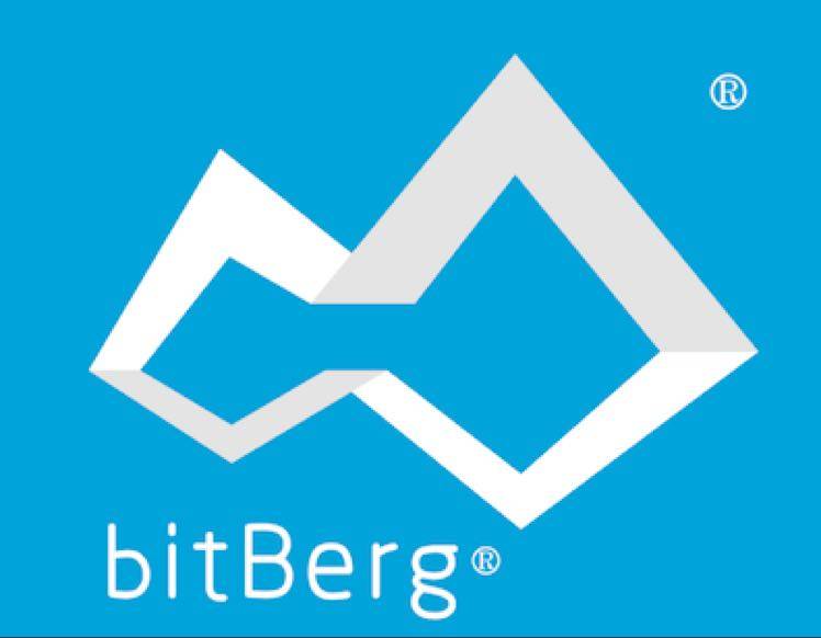 bitBerg妖灵妖
