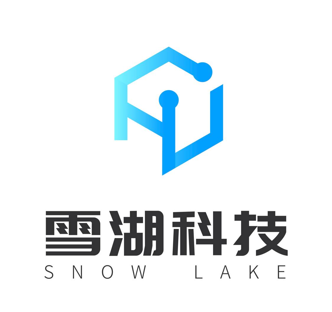 雪湖科技