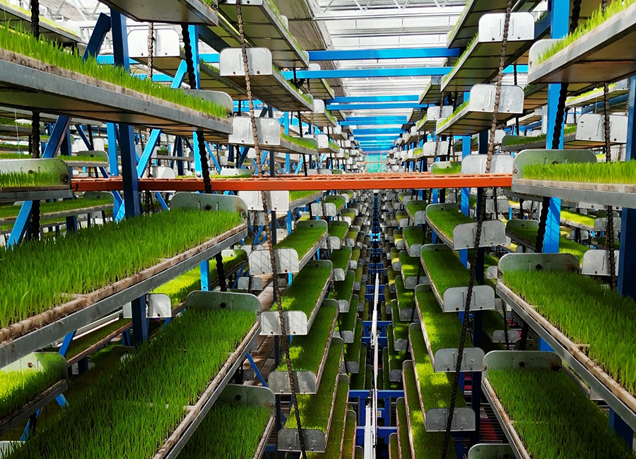 AI育苗、北斗“开犁” 看春耕里的智慧农业新图景