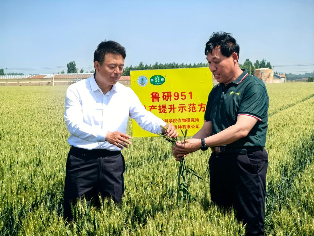 科技护航“齐鲁粮仓”