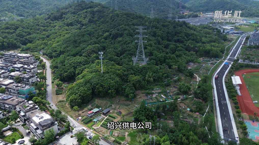 浙江绍兴：“机器狗”上岗助力迎峰度夏