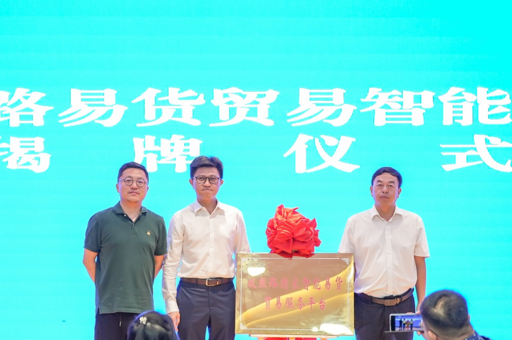 西部贸易陆海新通道加速建设，推动形成“陆海内外联动，东西双向互济”新格局